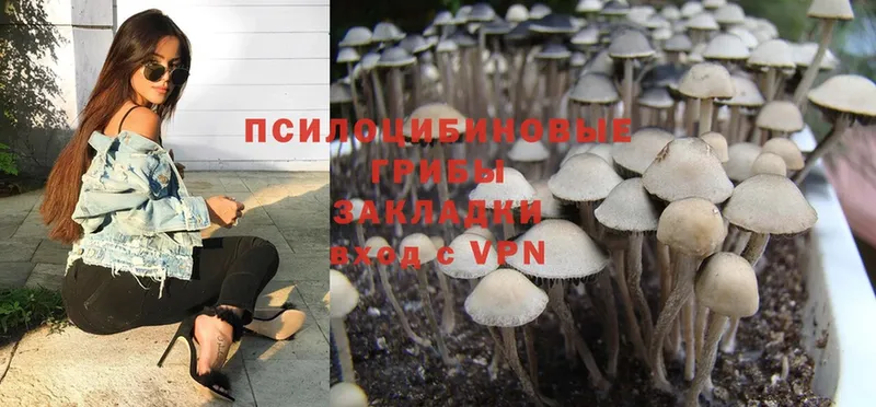 Псилоцибиновые грибы MAGIC MUSHROOMS Ковылкино